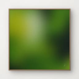 Gradiente Verde Limão - Felipe Sanches