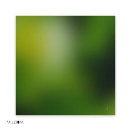 Gradiente Verde Limão - Felipe Sanches