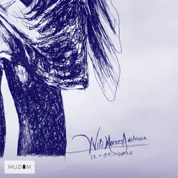 Risos de Esperança - WillyArtes