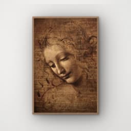 A Scapigliata - Leonardo da Vinci