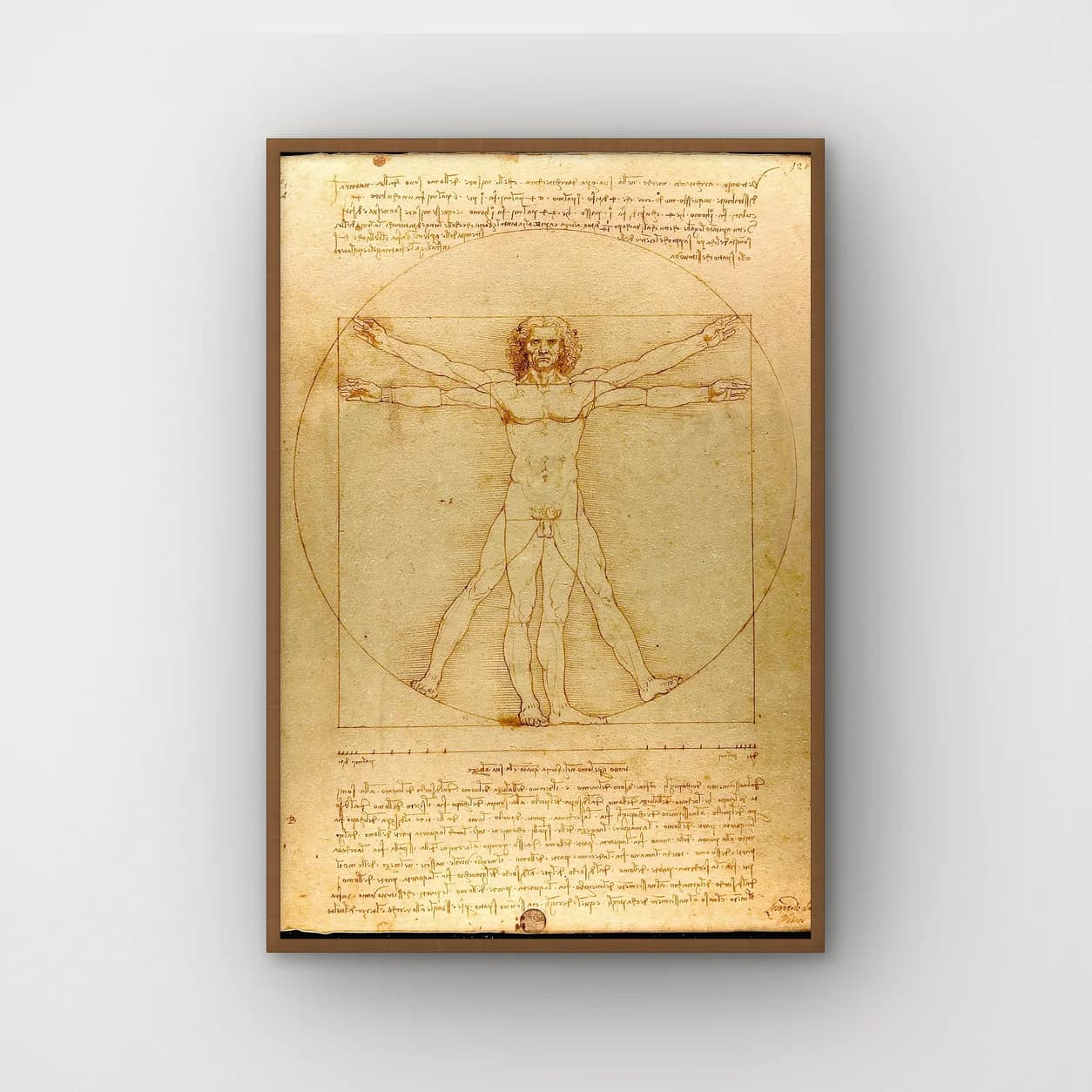 Homem Vitruviano - Leonardo da Vinci