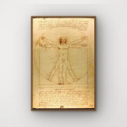 Homem Vitruviano - Leonardo da Vinci