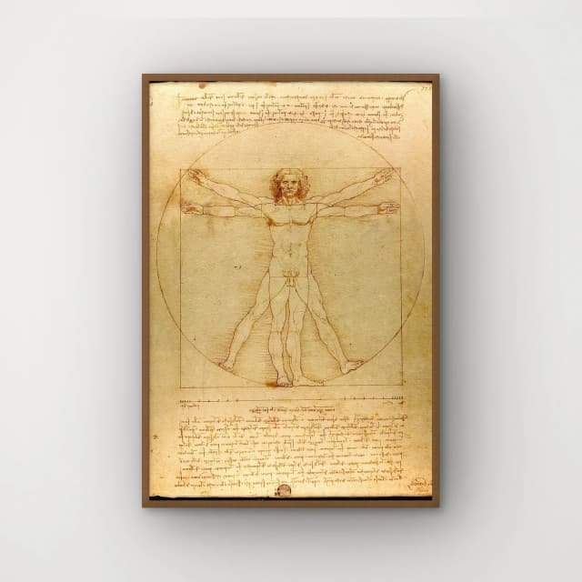 Homem Vitruviano - Leonardo da Vinci